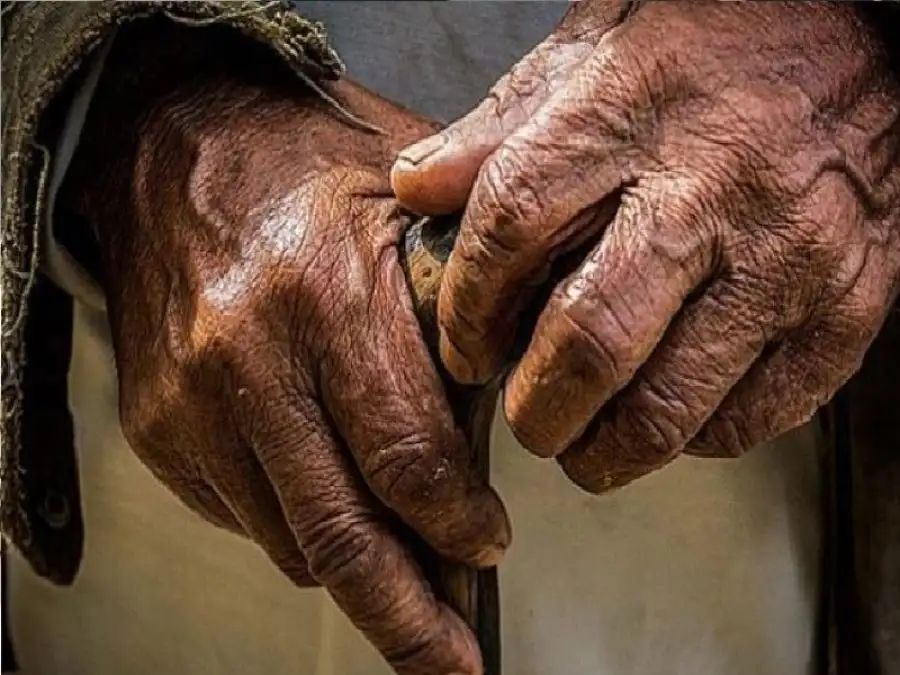 مدار الساعة,أخبار الأسرة