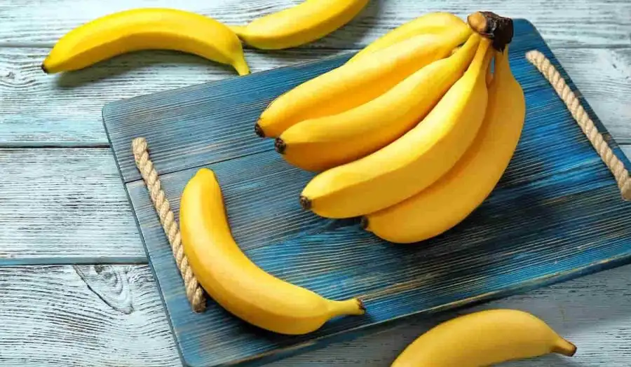 مدار الساعة,أخبار خفيفة ومنوعة