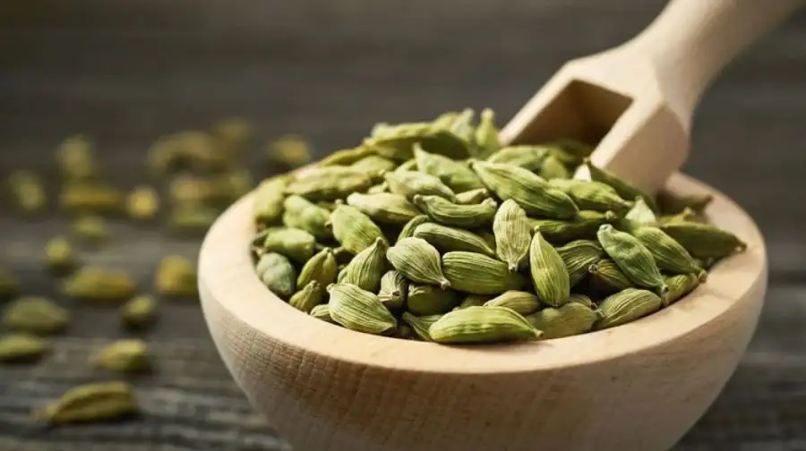 مدار الساعة,أخبار خفيفة ومنوعة