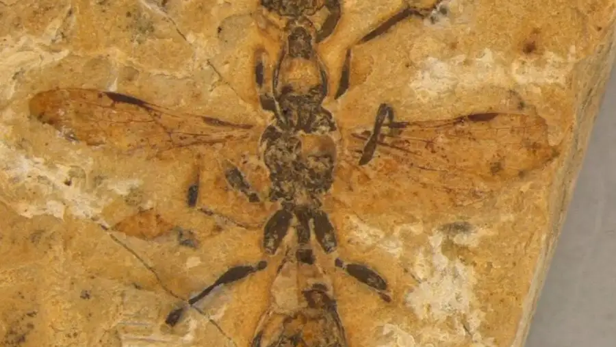مدار الساعة,أخبار خفيفة ومنوعة