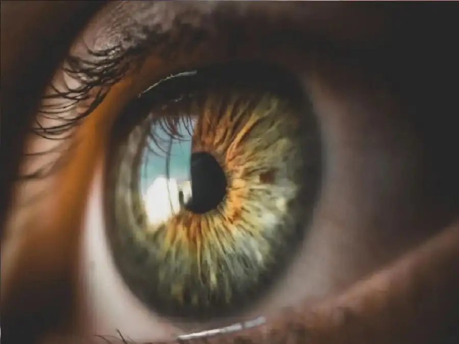 مدار الساعة,أخبار الأسرة