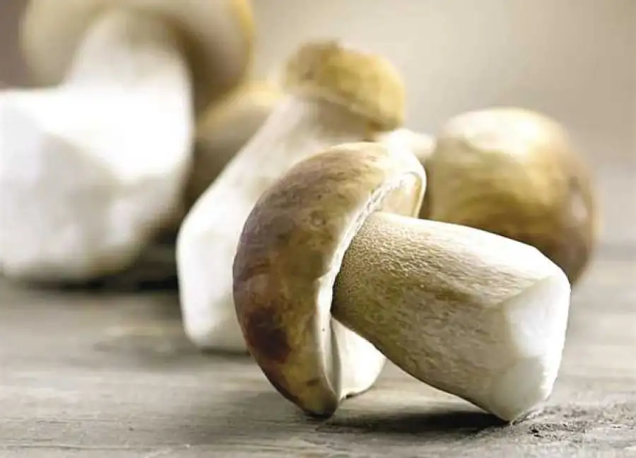مدار الساعة,أخبار خفيفة ومنوعة,أخبار الأسرة