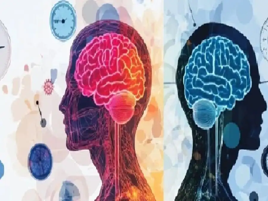 مدار الساعة,أخبار الأسرة