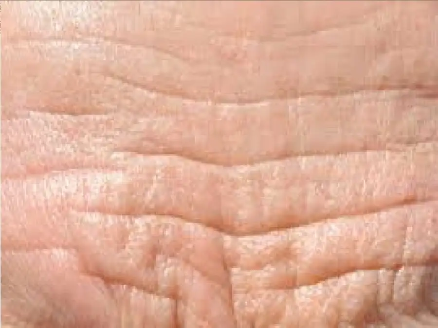 مدار الساعة,أخبار الأسرة