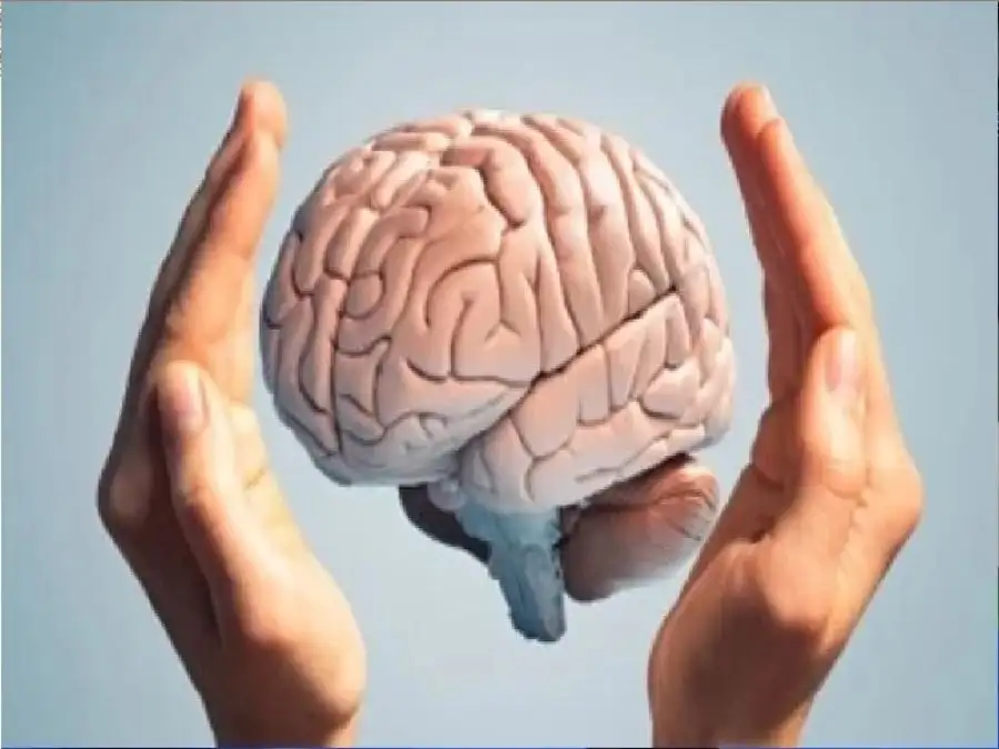 مدار الساعة,أخبار الأسرة
