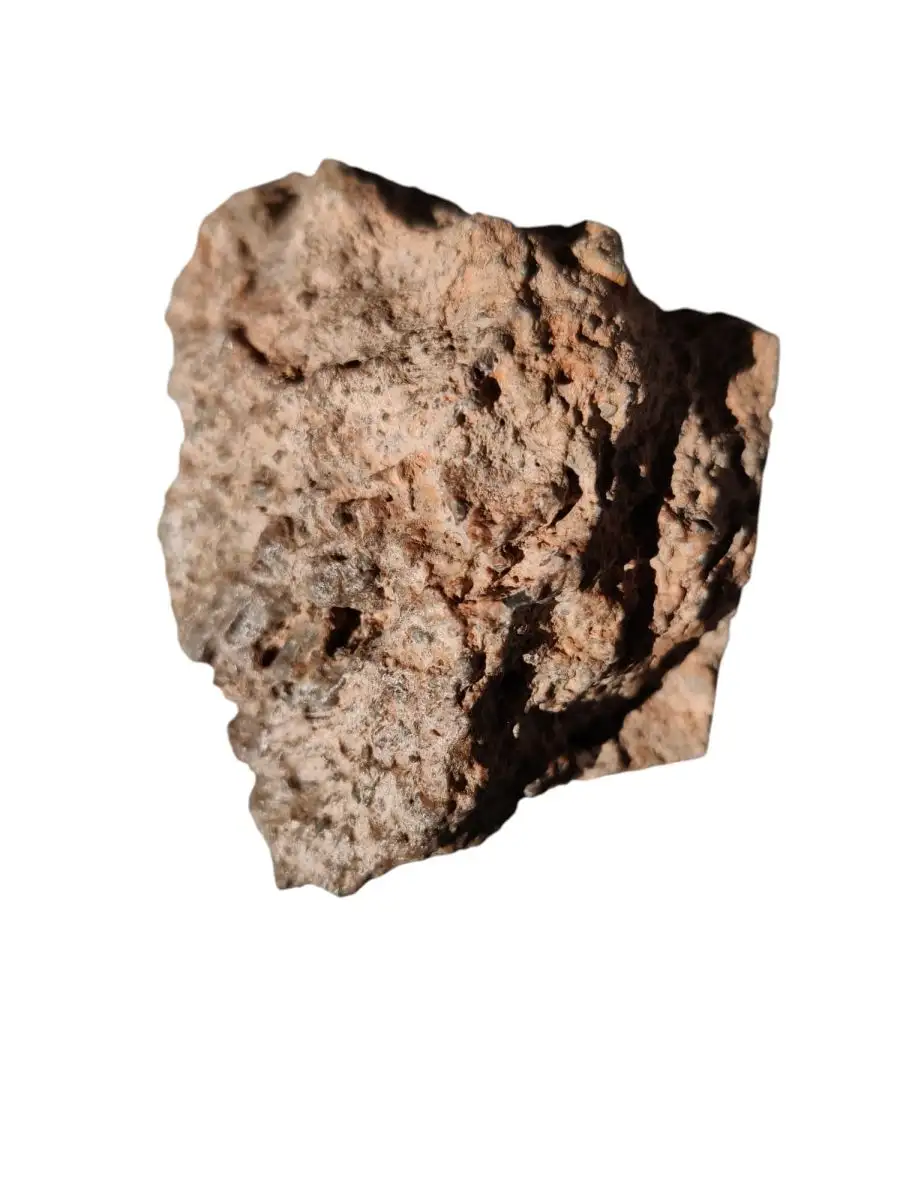 مدار الساعة,أخبار الأردن,اخبار الاردن,سلطنة عمان