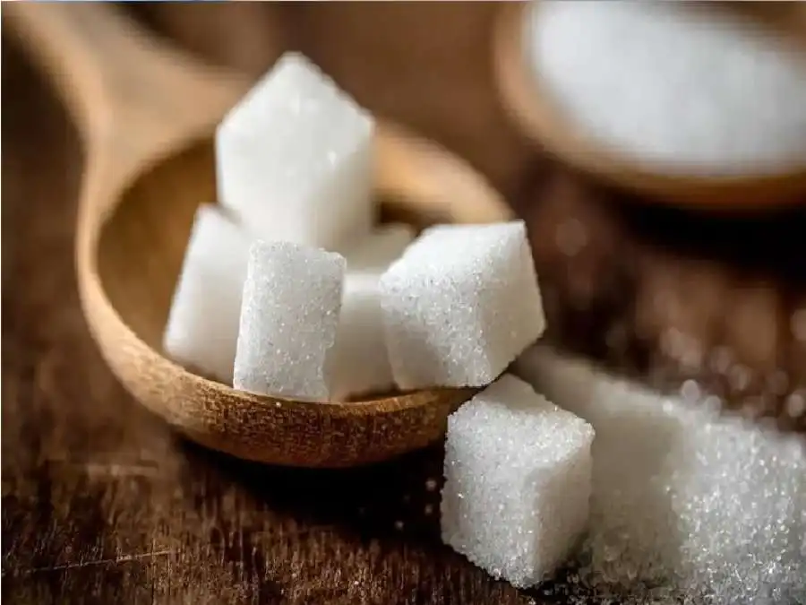 مدار الساعة,أخبار الأسرة