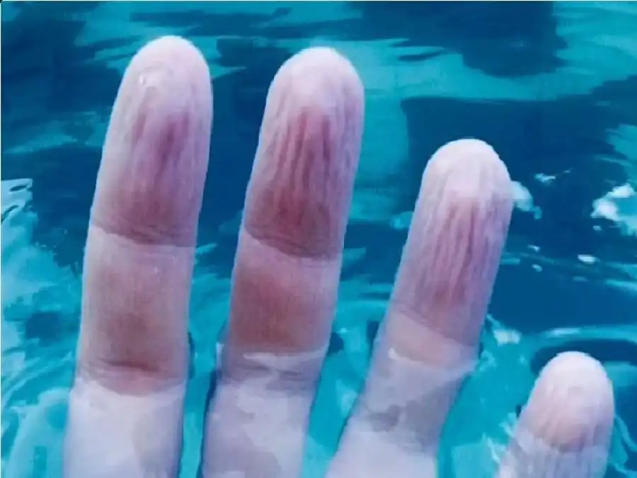 مدار الساعة,أخبار الأسرة