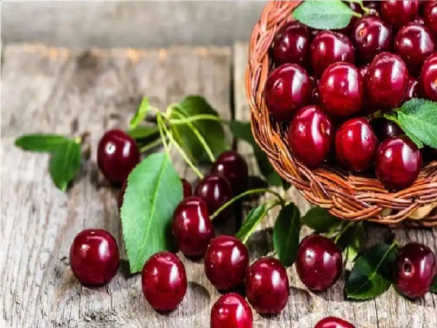 مدار الساعة,أخبار الأسرة