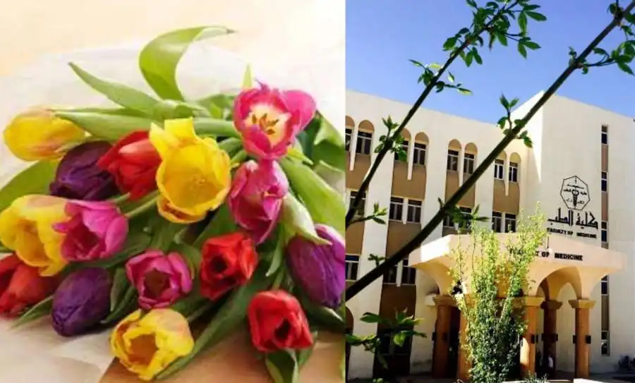 مدار الساعة,أخبار المجتمع الأردني,جامعة مؤتة