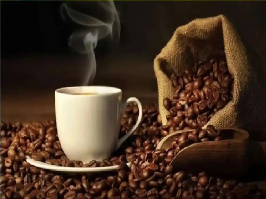 مدار الساعة,أخبار الأسرة