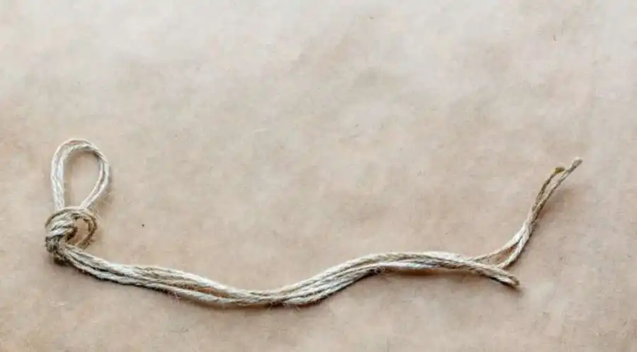 مدار الساعة,أخبار خفيفة ومنوعة