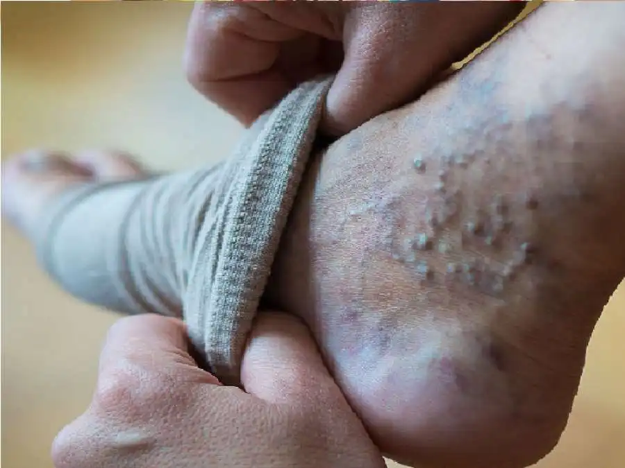 مدار الساعة,أخبار الأسرة