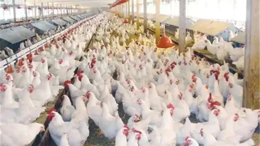 مدار الساعة,مناسبات أردنية,وزير العمل,المملكة الأردنية الهاشمية