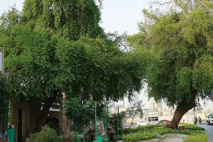 مدار الساعة,شؤون دينية