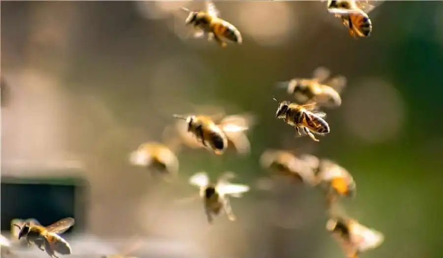 مدار الساعة,أخبار الأسرة