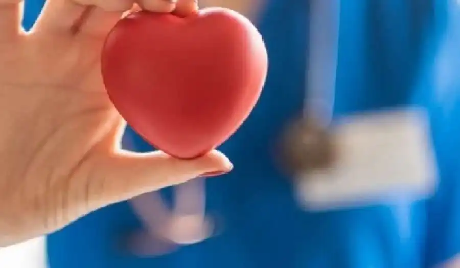 مدار الساعة,أخبار الأسرة