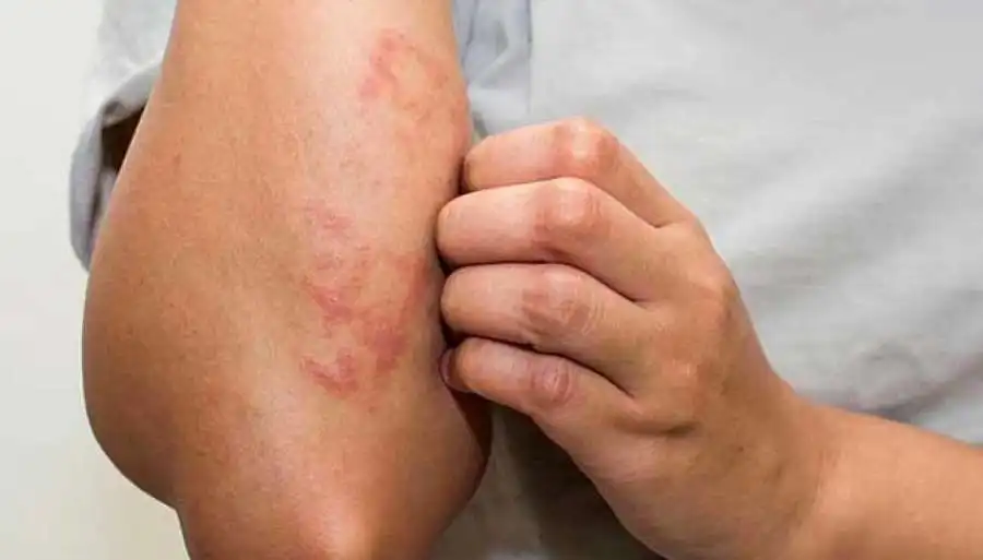 مدار الساعة,أخبار الأسرة