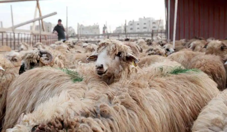 مدار الساعة,أخبار اقتصادية,وزير الزراعة