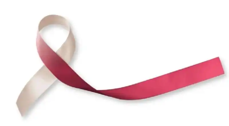 مدار الساعة,أخبار الأسرة