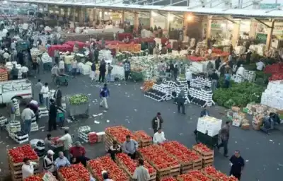 أسعار الخضار والفواكه في الأردن.. الثلاثاء