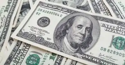 هل يستقر الدولار في مصر؟ إليك