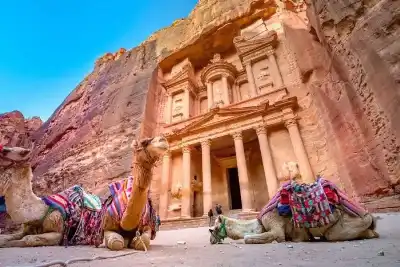 الذكور يستحوذون على غالبية فرص العمل