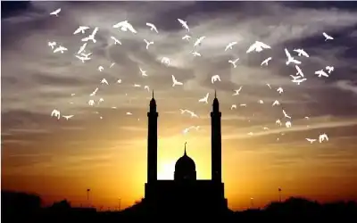 ولقد كرّمنا بني آدم