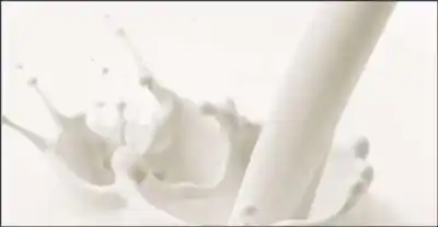 بعد عملية تتبع.. الغذاء والدواء في