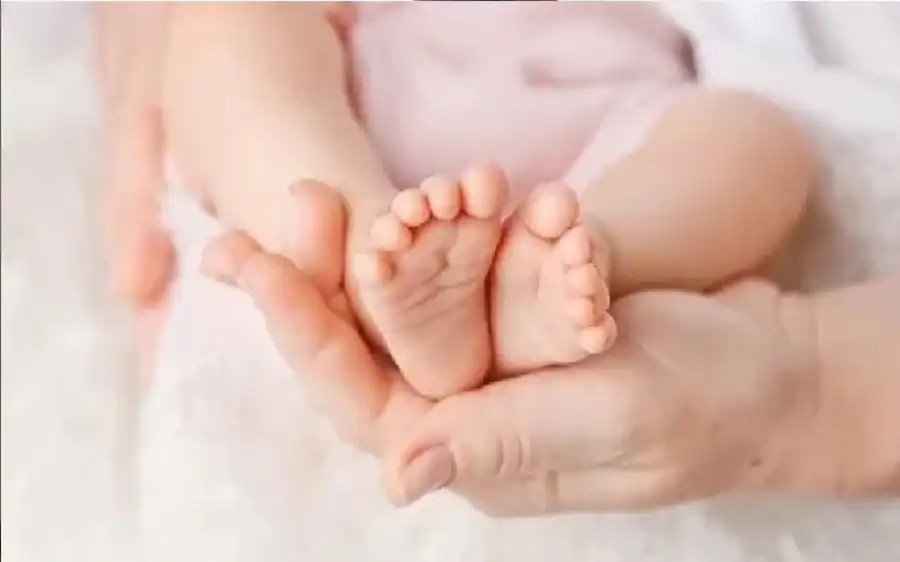 مدار الساعة,أخبار الأسرة