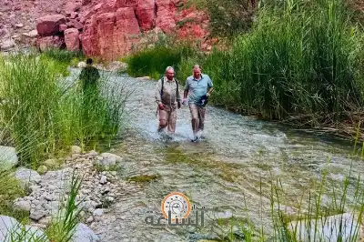 مازن الفراية وفارس بريزات في وادي