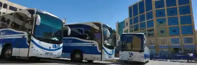 جت لا صحة لاي اخبار حول