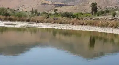 بعد جفافها.. سلطة وادي الأردن تعيد
