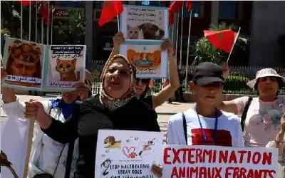 ‬الرحمة صارت تهمة.. مغاربة يرفضون قانونا