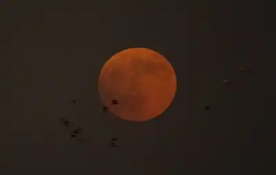 الخسوف الكلي للقمر.. بعدسة مدار الساعة