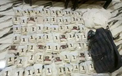 الجيش الأردني: رصدناها وأسقطناها