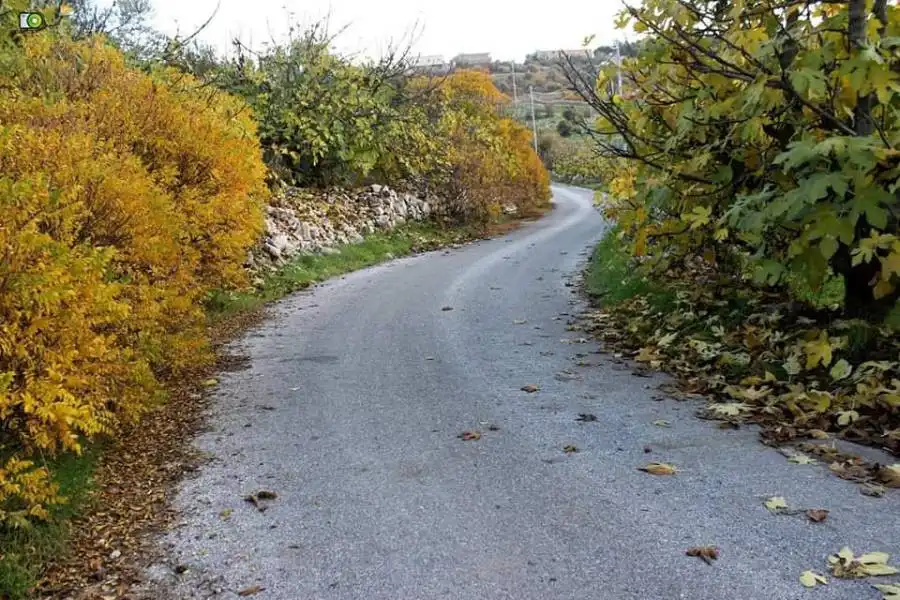 مدار الساعة,أخبار الأردن,اخبار الاردن,الطقس في الأردن اليوم,طقس الأردن,طقس العرب,طقس العرب الاردن,جامعة البلقاء التطبيقية