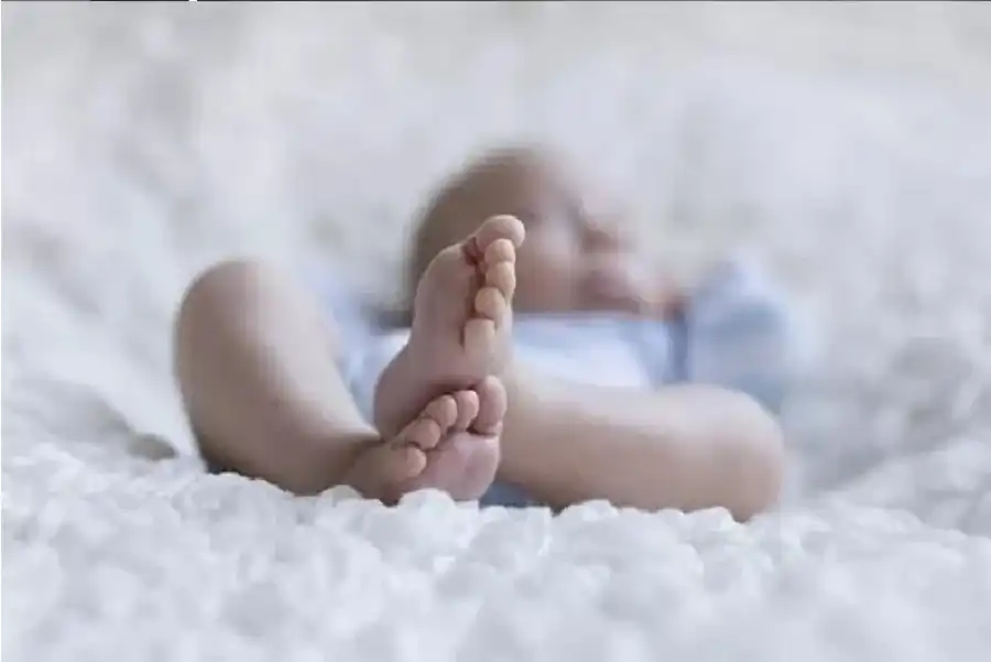 مدار الساعة,أخبار الصحة والأسرة,الضمان الاجتماعي