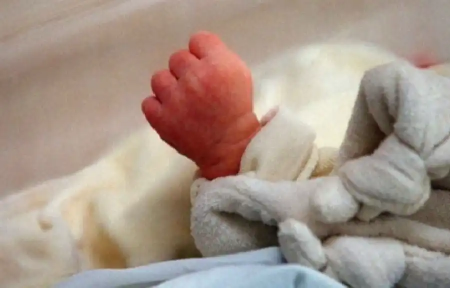 مدار الساعة,أخبار الصحة والأسرة,مستشفى السلام