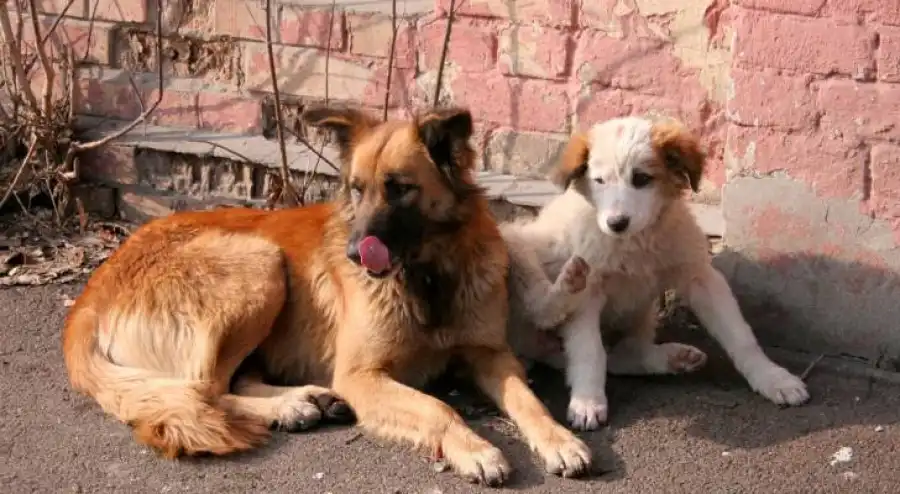 مدار الساعة,أخبار الأردن,اخبار الاردن