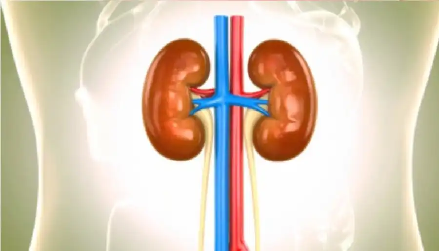 مدار الساعة,أخبار الصحة والأسرة