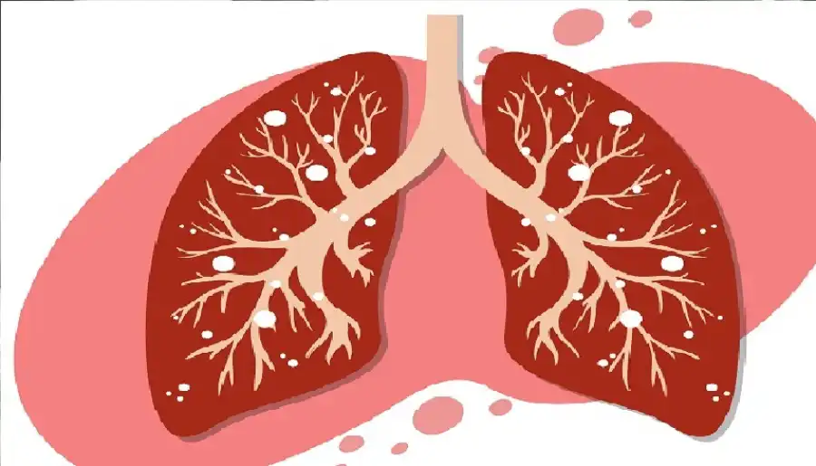 مدار الساعة,أخبار الصحة والأسرة