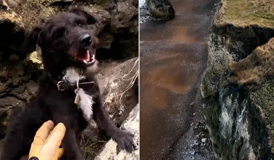 مدار الساعة,أخبار الصحة والأسرة