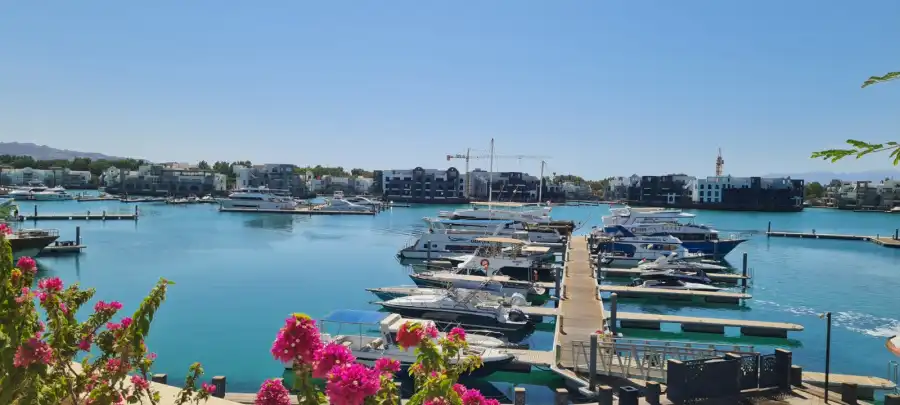 الصمادي يتساءل: هل تصبح العقبة وجهة