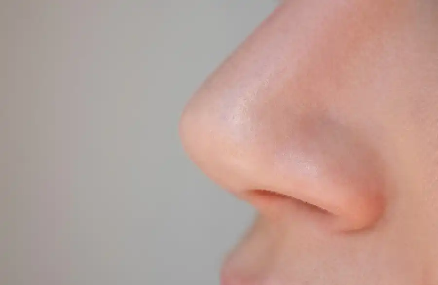 مدار الساعة,أخبار الصحة والأسرة