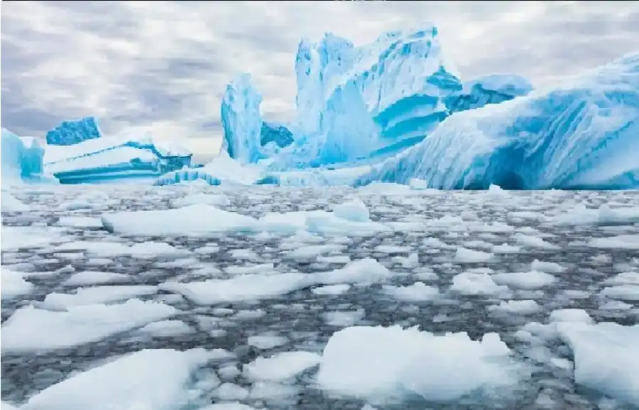 مدار الساعة,أخبار خفيفة ومنوعة