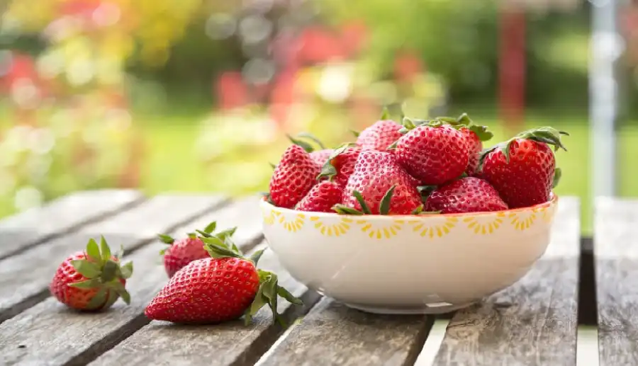 مدار الساعة,أخبار الصحة والأسرة