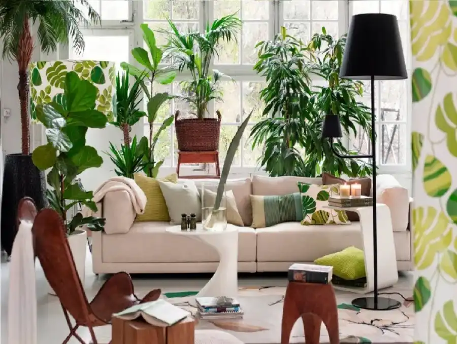 مدار الساعة,أخبار الصحة والأسرة