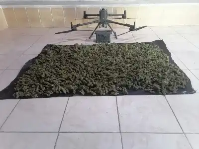 الجيش: أسقطناها داخل الأراضي الأردنية