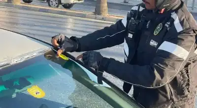 العساف: فحص 38 ألف مركبة في